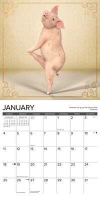 2026 Willow Creek Pig Pilates 12" x 12" Monthly Wall Calendar (52389)