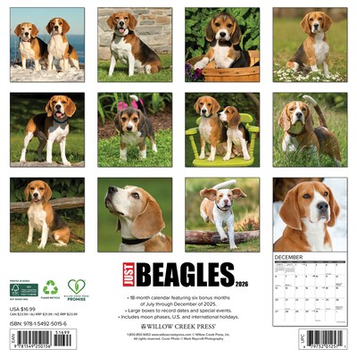 2026 Willow Creek Beagles 12 x 12 Monthly Wall Calendar (50156)