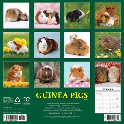 2026 Willow Creek Guinea Pigs 12 x 12 Monthly Wall Calendar (51405)