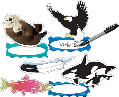 Barker Creek Sea & Sky Bulletin Board Set, 480/Set (3999)