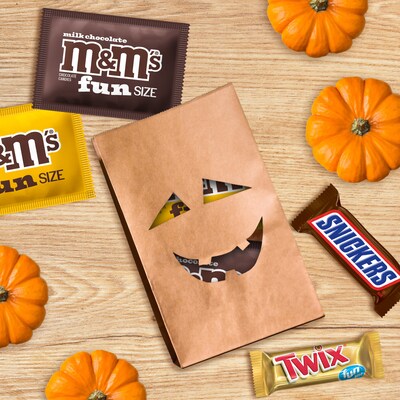Mars Halloween Fun Size Milk Chocolate Variety Candy Pack,  30.94 oz., 55 Pieces (461979)
