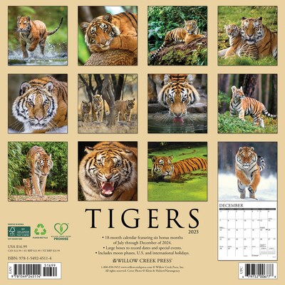 2025 Willow Creek Tigers 12 x 12 Yearly Wall Calendar (45114)