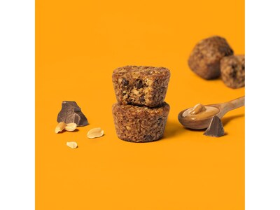 Bobo's Gluten-Free Peanut Butter Chocolate Chip Oat Bite, 32.5 oz., 25 Bars/Box (127-75-D)