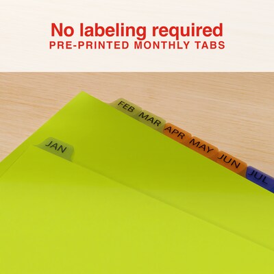 Staples Pre-Printed Monthly Plastic Dividers, Multicolor, 12-Tabs (ST63071)