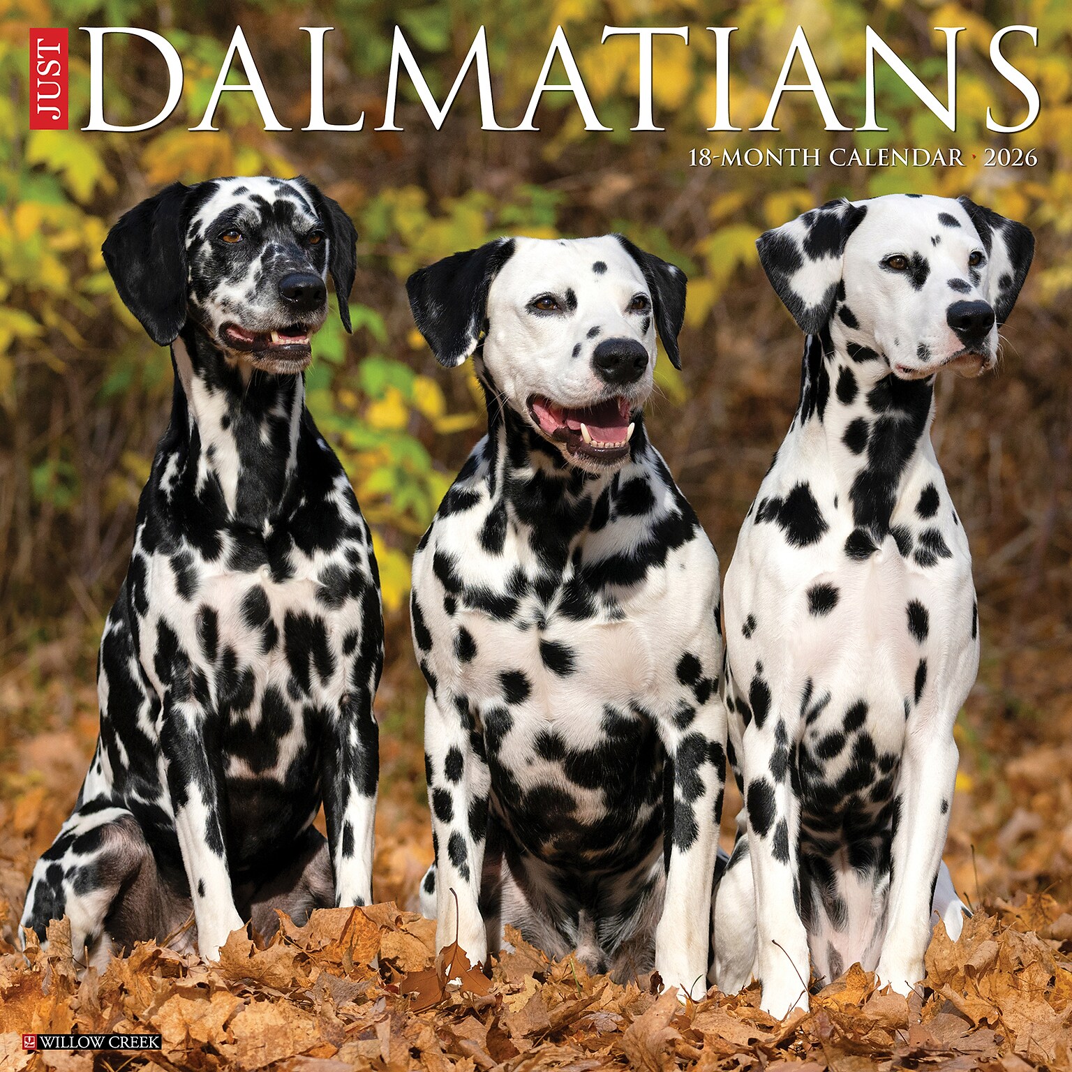 2026 Willow Creek Dalmatians 12 x 12 Monthly Wall Calendar (50958)