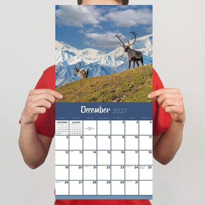 2027 TF Publishing Wild 11" x 12" Monthly Wall Calendar, Multicolored (27-1032)