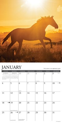 2026 Willow Creek What Horses Teach Us 12" x 12" Monthly Wall Calendar (53195)