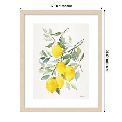 Amanti Art Lemon Citrus by Patricia Shaw Wood Framed Wall Art Print, 17" x 21" (A42675506061)