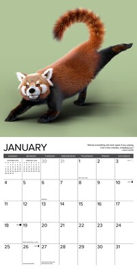 2026 Willow Creek Red Panda Yoga 12" x 12" Monthly Wall Calendar (56073)