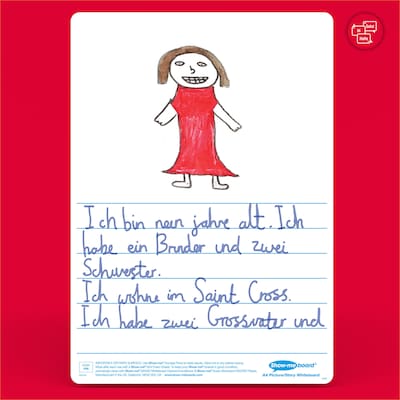 Show-me Picture Story Whiteboard Kit, Assorted Colors, 100/Set (EPTBPSBX)