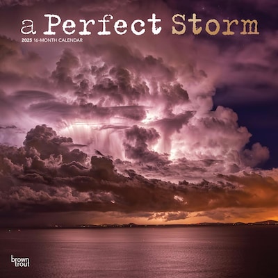 2025 BrownTrout A Perfect Storm 12 x 12 Monthly  Wall Calendar (9781975474416)