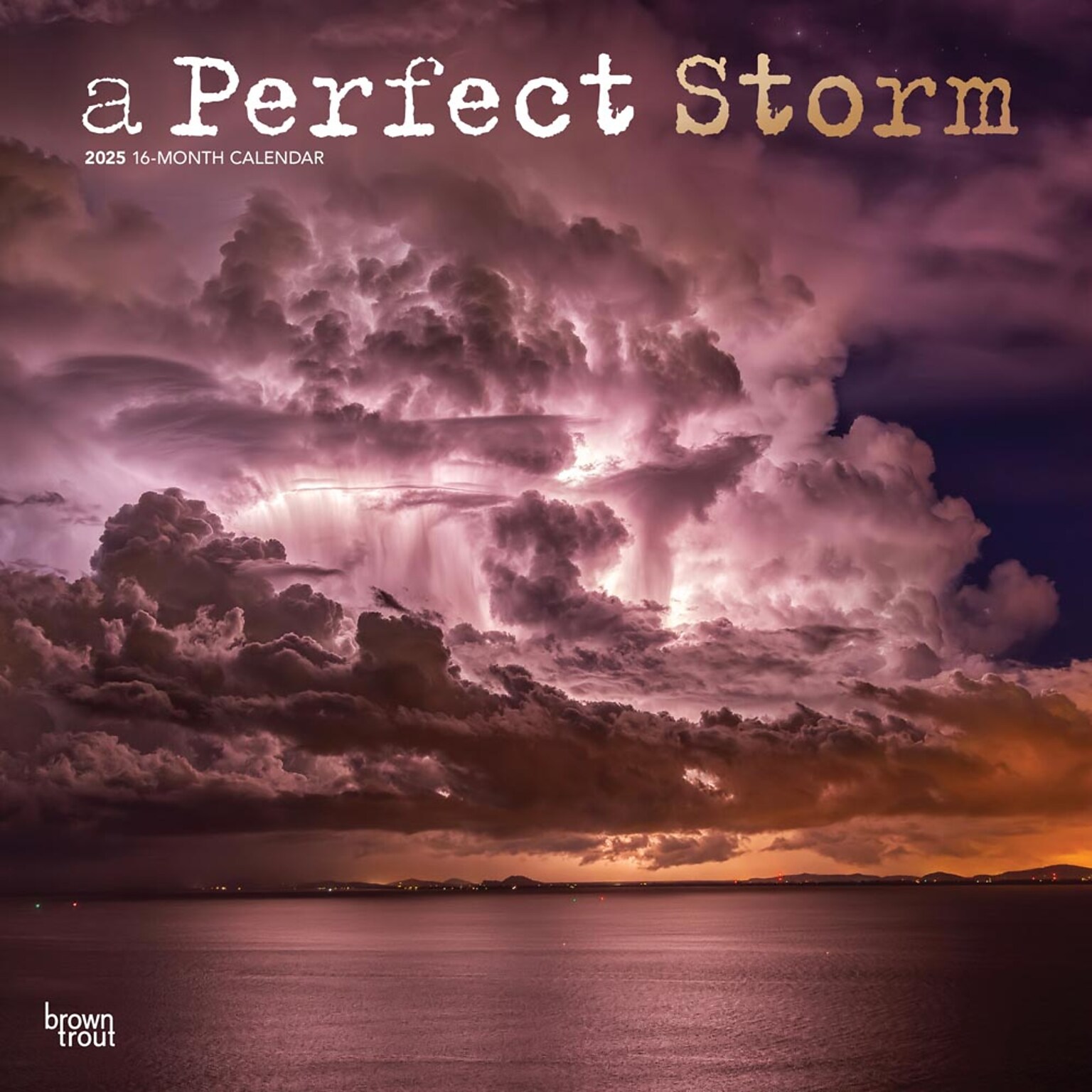 2025 BrownTrout A Perfect Storm 12 x 12 Monthly  Wall Calendar (9781975474416)