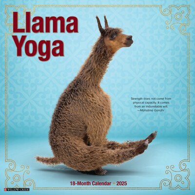 2025 Willow Creek Llama Yoga 12 x 12 Monthly Wall Calendar (43783)