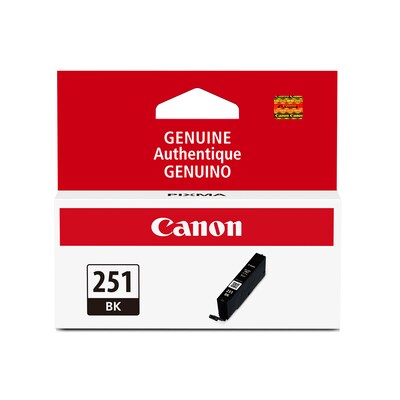 Canon 251 Black Standard Yield Ink Cartridge  (6513B001)