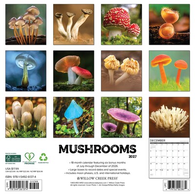 2027 Willow Creek Mushrooms 12 x 12 Monthly Wall Calendar, Assorted Colors (61374)