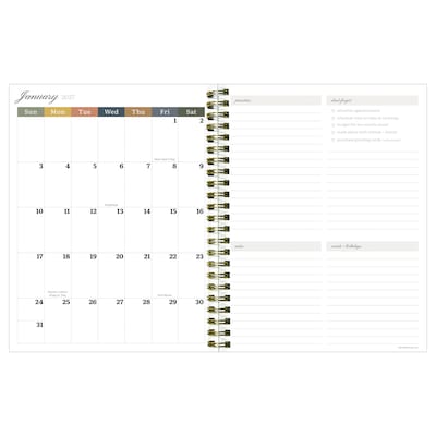2026-2027 TF Publishing Rose 6.5 x 8 Academic Weekly & Monthly Planner, Paperboard Cover (AY27-9212)