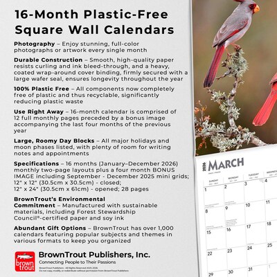 2026 BrownTrout Cardinals 12" x 12" Monthly Wall Calendar (9798330702749)
