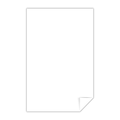 Exact Vellum Bristol 110 lb. Cardstock Paper, 11 x 17, White, 250 Sheets/Pack (WAU40414)