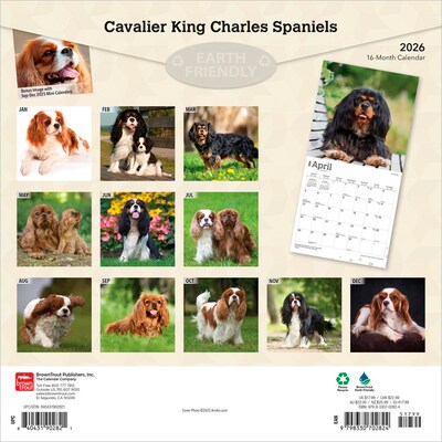 2026 BrownTrout Cavalier King Charles Spaniels 12 x 12 Monthly Wall Calendar (9798330702824)