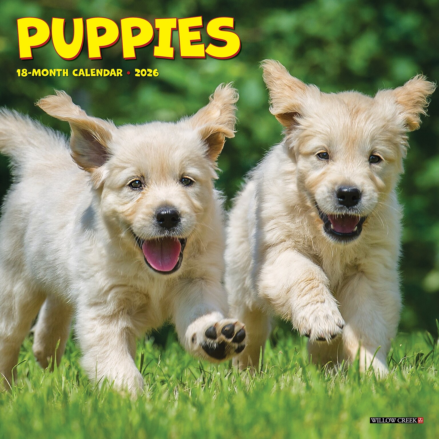 2026 Willow Creek Puppies 7 x 7 Monthly Wall Calendar (53737)