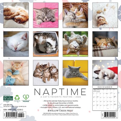 2026 Willow Creek Naptime: A Cats Favorite Pastime 12 x 12 Monthly Wall Calendar (52082)