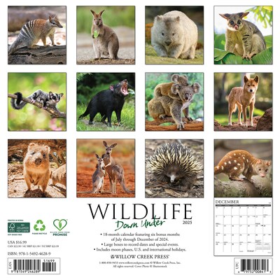 2025 Willow Creek Wildlife Down Under 12 x 12 Yearly Wall Calendar (46289)