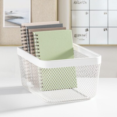 iDesign Steel Organizer, Matte White (25958)