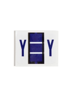 Smead BCCR Labels File Folder Label, Y, Violet, 500 Labels/Pack (67095)