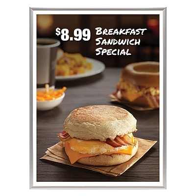 Excello Global Products 16 x 20 Plastic Poster Frame (PPFRM-1620-SLV)