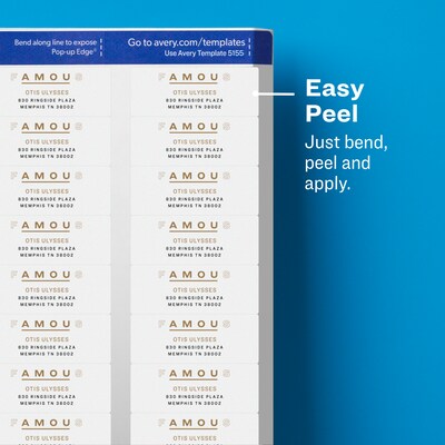 Avery Easy Peel Laser Return Address Labels, 2/3" x 1-3/4", Clear, 600 Labels/Pack (15695)
