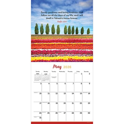 2026 TF Publishing Psalms 12 x 12 Monthly Wall Calendar (26-1024)