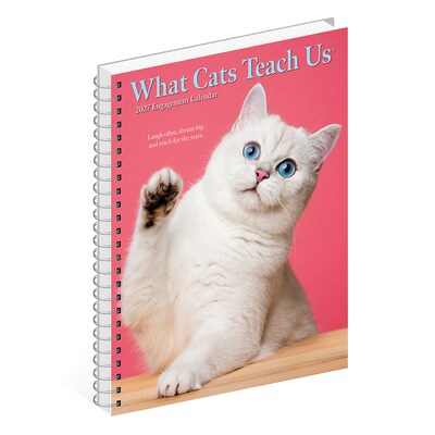 2027 Willow Creek What Cats Teach Us 6.5" x 8.5" Weekly & Monthly Desk Calendar (64443)