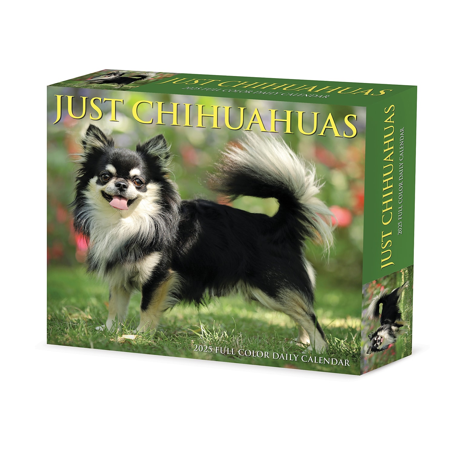 2025 Willow Creek Chihuahuas 6 x 5.5 Day-to-Day Calendar, Multicolor (40737)