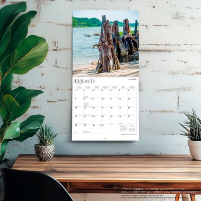 2027 BrownTrout South Carolina Wild & Scenic 12" x 12" Monthly Wall Calendar (9798330710850)