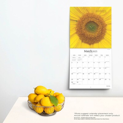 2025 Brush Dance Symmetry 12" x 12" Monthly Wall Calendar (9781975481445)