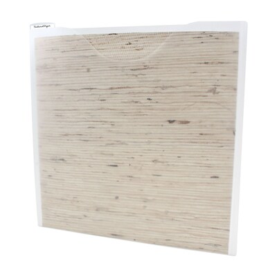 Storage Studios Plastic File Jacket, 13.5 x 14.5, White, 9/Bundle (AVTCH92602-3)