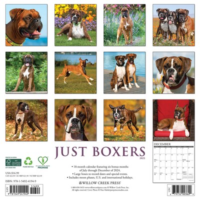 2025 Willow Creek Just Boxers 12 x 12 Monthly Wall Calendar, Multicolor (41949)