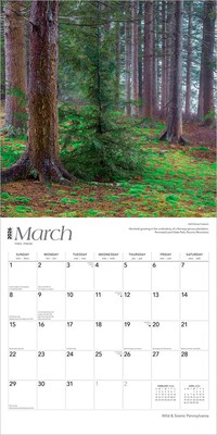 2026 BrownTrout Pennsylvania Wild & Scenic 12" x 12" Monthly Wall Calendar (9798330705115)