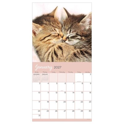 2027 TF Publishing Cat Dreams 12 x 12 Monthly Wall Calendar (27-1003)