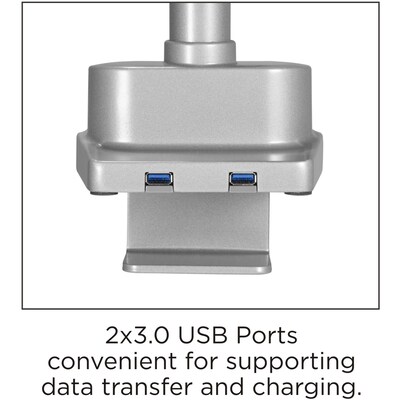 Lorell Adjustable Dual Monitor Arm with Pole, Up to 32" Monitor, Gray (LLR99803)