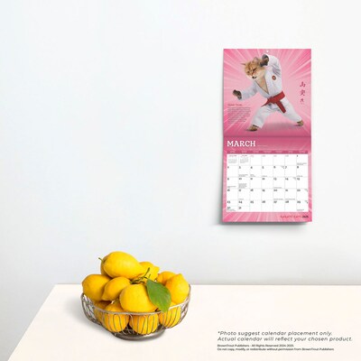 2025 BrownTrout Karate Cats 7" x 14" Monthly Mini Wall Calendar, (9781975479541)