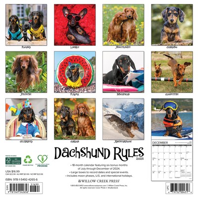 2025 Willow Creek Dachshund Rules 12 x 12 Monthly Wall Calendar (42656)