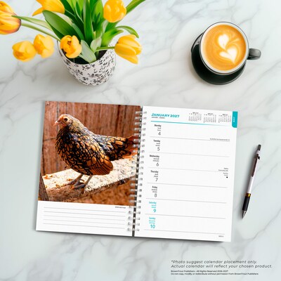 2027 BrownTrout Chickens 6.5" x 7.8" Calendar Year Weekly Standard Planner, Multicolor (9798330714919)