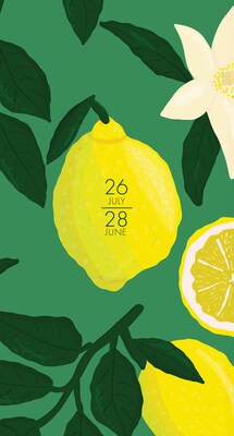 2026-2028 Willow Creek 3.5 x 6.5 Academic Monthly Planner, Plastic Cover, Lemon Fresh (64900X)