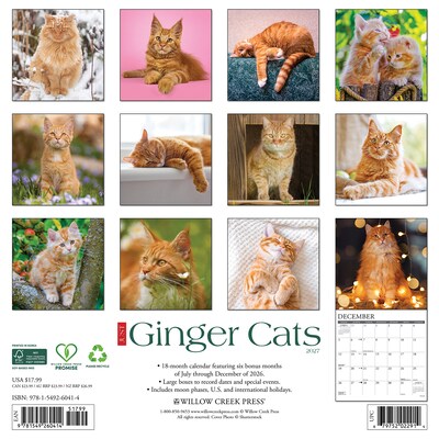 2027 Willow Creek Ginger Cats  12 x 12 Monthly Wall Calendar (60414)