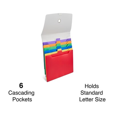 TRU RED Plastic Accordion File, 6-Pocket, Letter Size, Multicolor (TR51848)