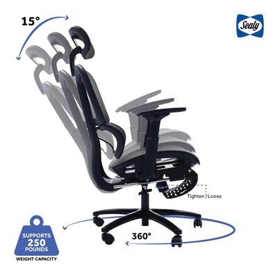 Sealy Posturepedic Astra Mesh Reclining Executive Office Chair, Black (63080)