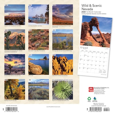 2024 BrownTrout Nevada Wild & Scenic 12" x 24" Monthly Wall Calendar (9781975464165)