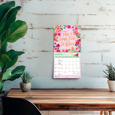 2027 BrownTrout Bonnie Marcus 7" x 7" Monthly Wall Calendar, Assorted Colors (9798330713066)