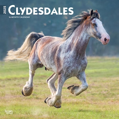 2025 BrownTrout Clydesdales 12 x 12 Monthly  Wall Calendar (9781975476854)